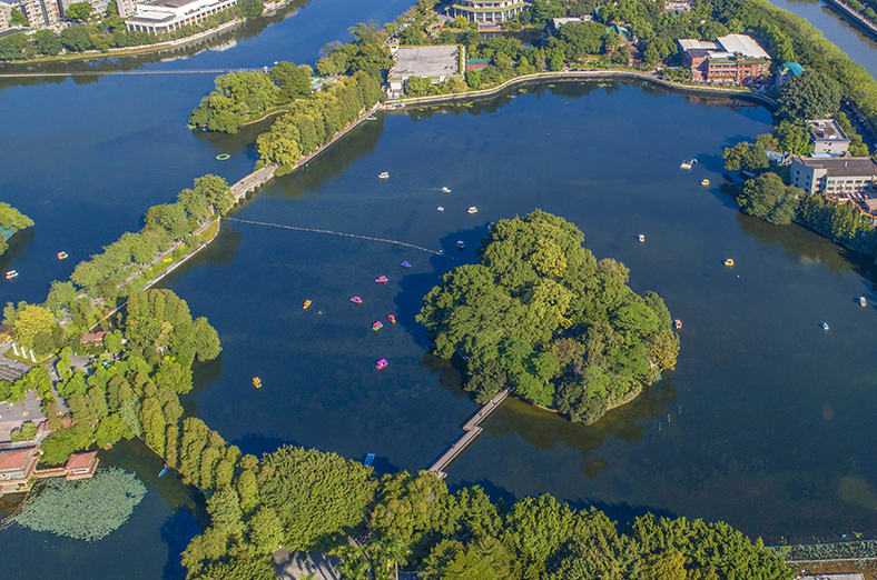 60天從劣V類提升到IV類水<br />
<br />
東山湖公園是廣州市四大生態(tài)調(diào)蓄湖之一，項(xiàng)目自2017年9月開始實(shí)施，采用“截污控源+原位生態(tài)修復(fù)+一體化設(shè)備應(yīng)急處理”等綜合技術(shù)手段，60天從劣V類提升到IV類水。2019年項(xiàng)目順利驗(yàn)收，現(xiàn)已進(jìn)入運(yùn)維期，水質(zhì)穩(wěn)定達(dá)到地表IV類水標(biāo)準(zhǔn)。